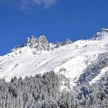 Divisible Skis Aux Pieds, Animaux Admis - Fr-1-182-194 Lejlighed *